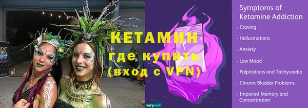 стафф Новодвинск