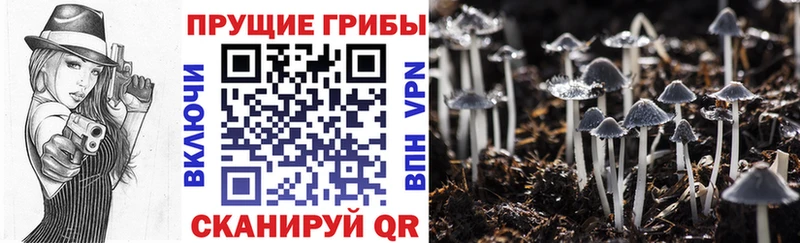 Псилоцибиновые грибы MAGIC MUSHROOMS  Урень 